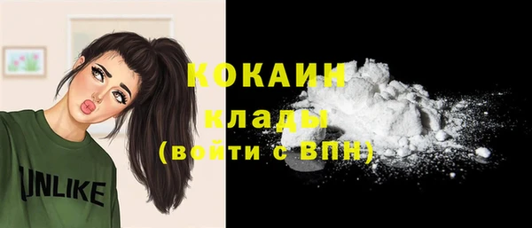 гидра Липки