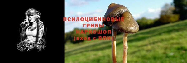 таблы Ладушкин