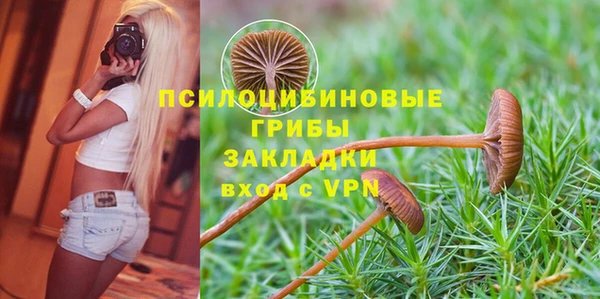 альфа пвп Лагань