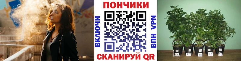 Шишки марихуана планчик ОМГ ОМГ сайт Никольское сколько стоит